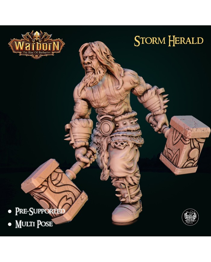 Storm Herald Barbarian - B|The Master Forge|Barbarians Storm Herald Barbarian - B|The Master Forge|Barbarians
