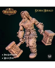 Storm Herald Barbarian - B|The Master Forge|Barbarians Storm Herald Barbarian - B|The Master Forge|Barbarians