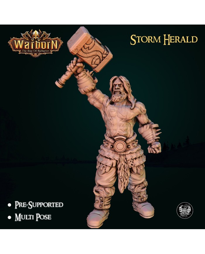 Storm Herald Barbarian - C|The Master Forge|Barbarians Storm Herald Barbarian - C|The Master Forge|Barbarians