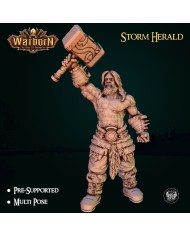 Storm Herald Barbarian - C|The Master Forge|Barbarians Storm Herald Barbarian - C|The Master Forge|Barbarians