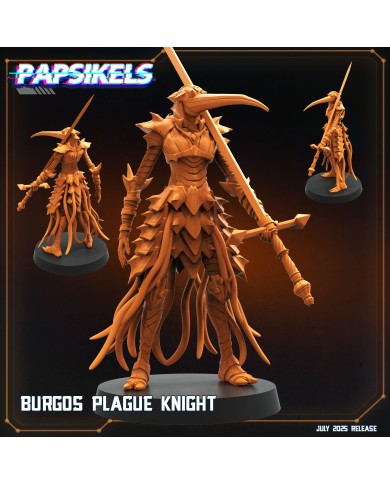 Burgos Plague Knight