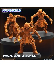 Peregrinos de la Plaga (x5)