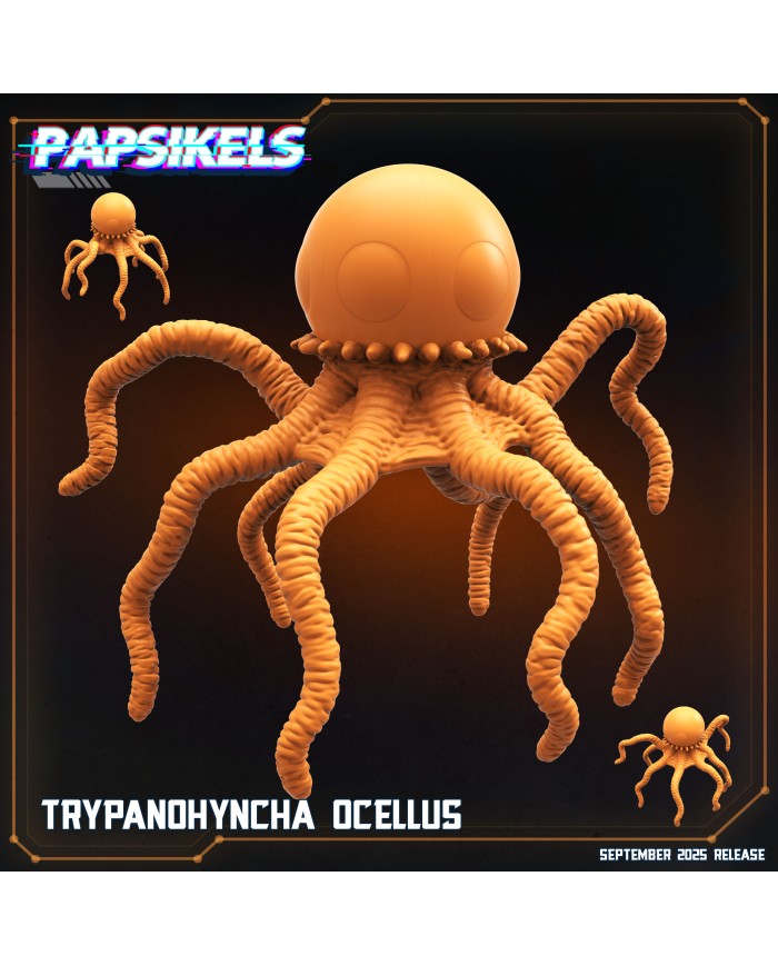 Trypanohyncha Ocellus