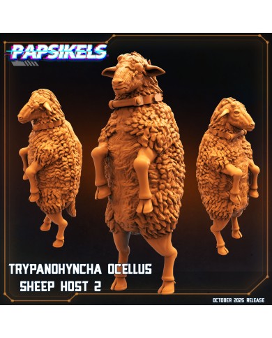 %product-name%%separator%%brand%%separator%%category%