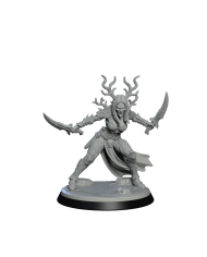 Daughter of Lament with Swords - A|Falcata 3D Studio|Court of the Sylvan Blood