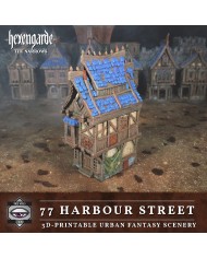 77 Harbor Street of Hexengarde City|Tired World Studio|Mordheim Terrain