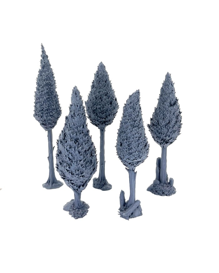 Set of Tall Trees (x5)|Dalla Croce Studios|Trees Terrain