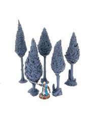 Set of Tall Trees (x5)|Dalla Croce Studios|Trees Terrain