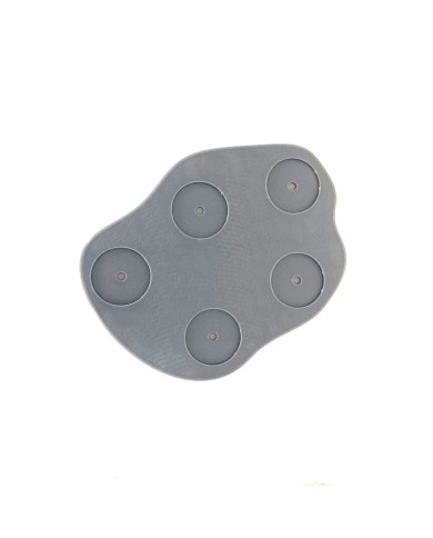 Tray with Five Dead Trees