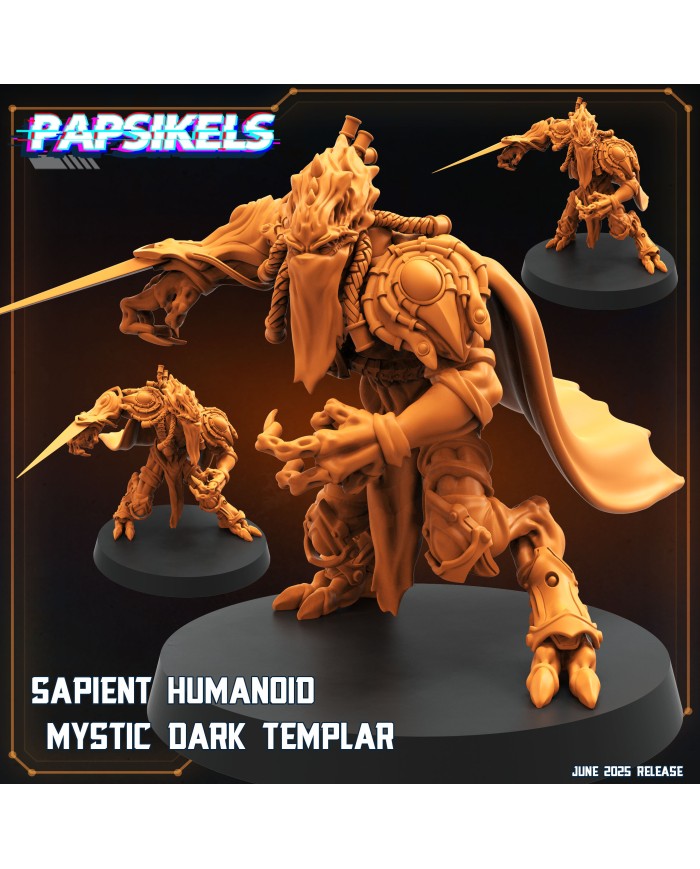 Humanoide Inteligente Místico Templario Oscuro - A|Papsikels Miniatures|Miniaturas Starcraft
