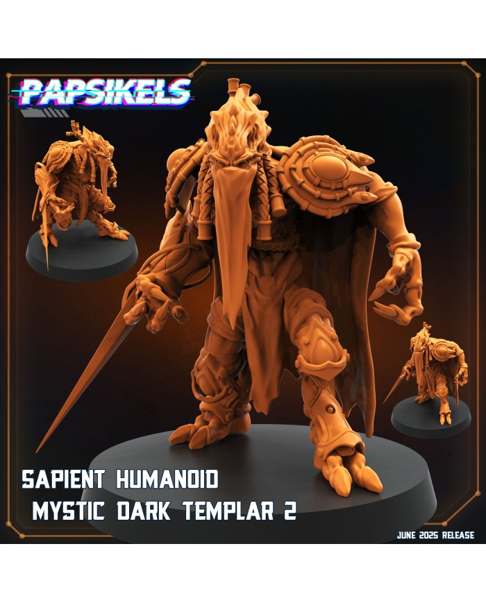 Sapient Humanoid Mystic Dark Templar 2|Papsikels Miniatures|Starcraft Miniatures