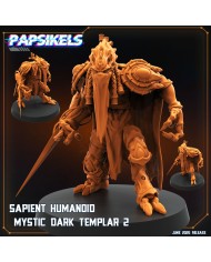 Sapient Humanoid Mystic Dark Templar 2|Papsikels Miniatures|Starcraft Miniatures