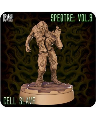 Slave Cell - 7
