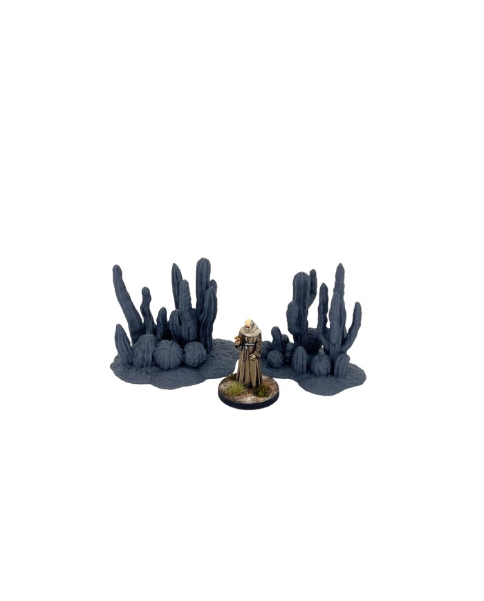 Cactus Set of Wild West (x2) - B|World of Pratheron|Wild West Terrain