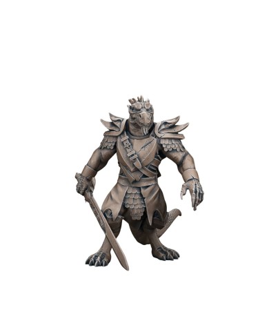 Dragonborn Fighter Male