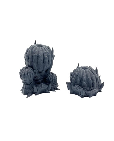 Bichos | Terrainandminis