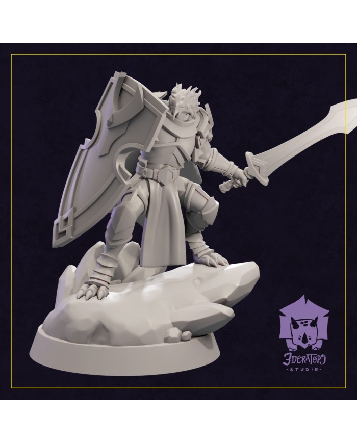 Dragonborn Paladin - Al-Ahtaza|3DeRatops Studio|Paladins