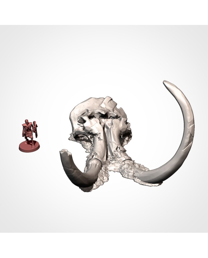 Dead Giant Mammoth Head - B | Txarli Factory | Ogre Terrain
