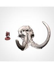 Dead Giant Mammoth Head - B | Txarli Factory | Ogre Terrain