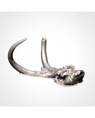 Dead Giant Mammoth Head - B | Txarli Factory | Ogre Terrain