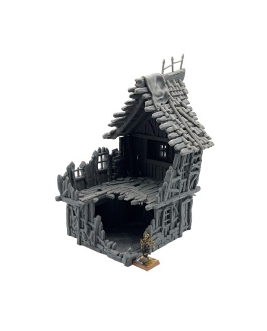 Ruinas de Mordheim | Terrainandminis