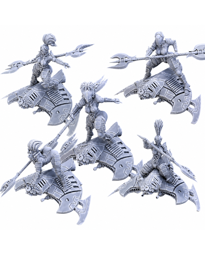 Skyreavers (x5) | Across the Realms | Space Dark Elf