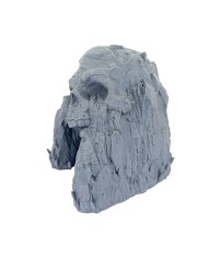 Roca Calavera Grande de la Tierra Maldita | Txarli Factory | Terreno Disperso