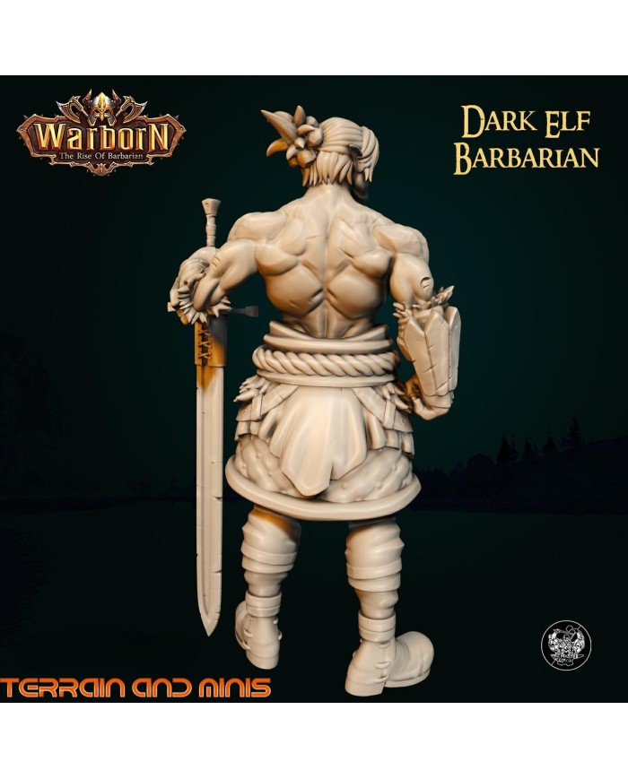 Dark Elf Barbarian Dark Elf Barbarian