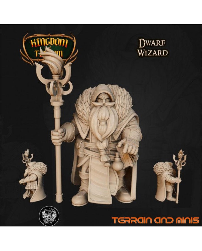 Dwarf Wizard - 1 Mini