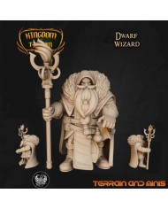 Dwarf Wizard - 1 Mini