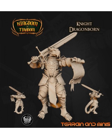 Dragonborn Knight - 1 Mini