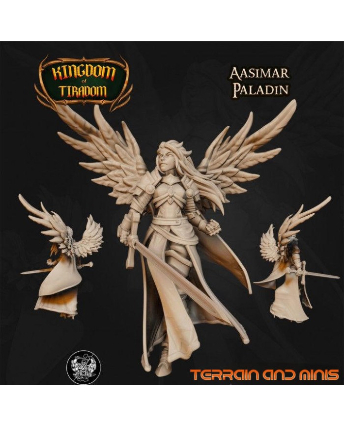 Aasimar Paladin - 1 Mini