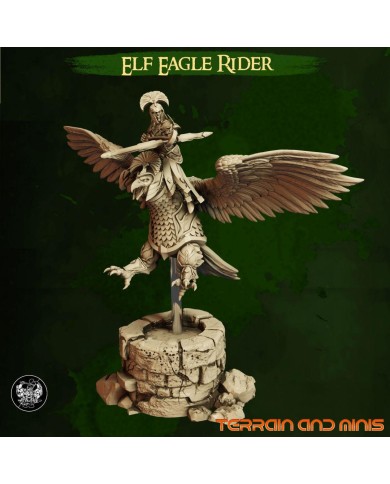 Highborn Elves - Eagle Rider B - 1 Mini