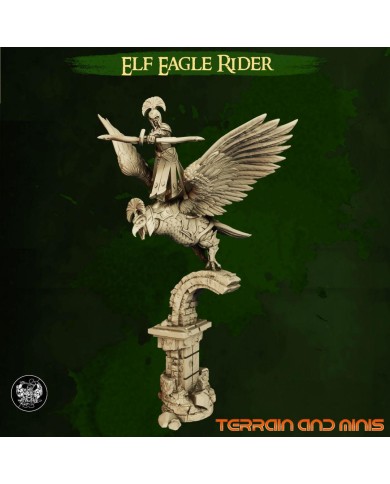 Highborn Elves - Eagle Rider A - 1 Mini