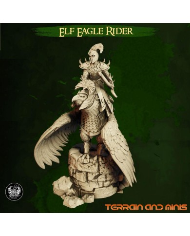Highborn Elves - Eagle Rider C - 1 Mini