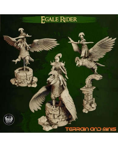 Highborn Elves - Eagle Riders - 3 Minis
