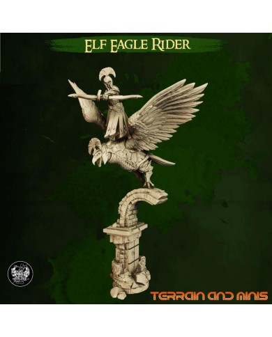 Highborn Elves - Eagle Riders - 3 Minis