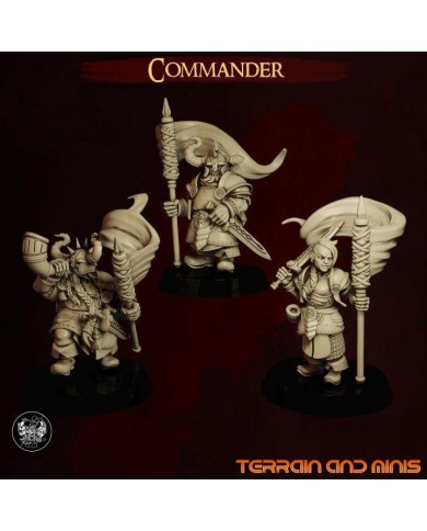 Dwarven Commanders - 3 Minis