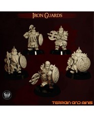 Dwarven Iron Guards - 5 Minis