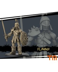 Gladiator - Dimachaerus - 1 Mini