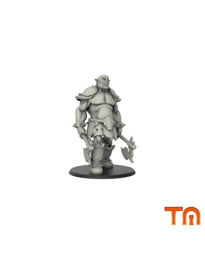 Orc Warrior - 1 Mini