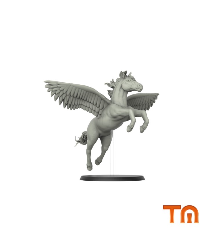 Pegasus - 1 Mini