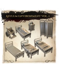 Asylum Environment - Set B
