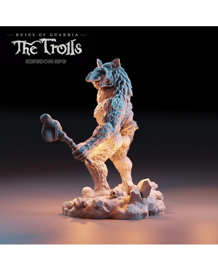 Troll - Rakash, the Leader