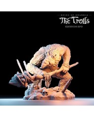 Troll - Zebajin, el Guardia Troll Entrometido