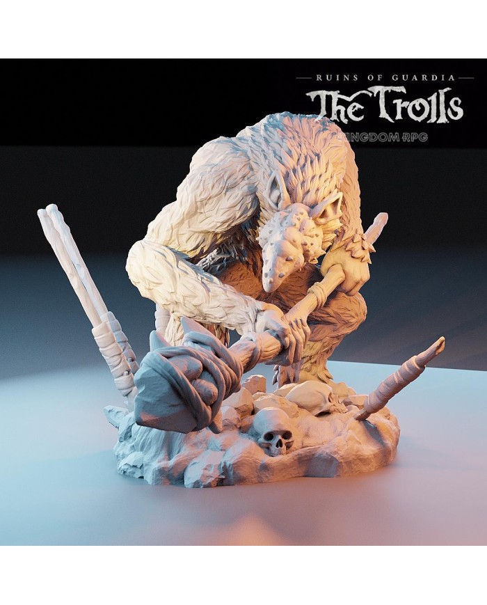 Troll - Zebajin, the Nosy Troll Guard