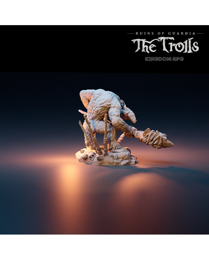 Troll - Zebajin, el Guardia Troll Entrometido