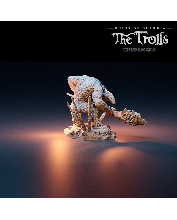 Troll - Zebajin, the Nosy Troll Guard