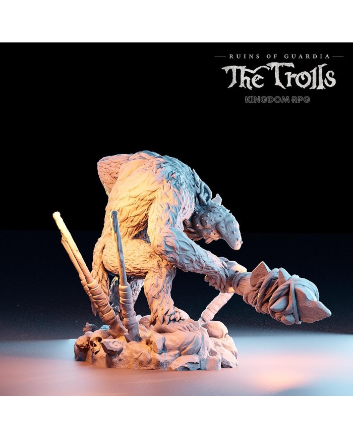 Troll - Zebajin, el Guardia Troll Entrometido