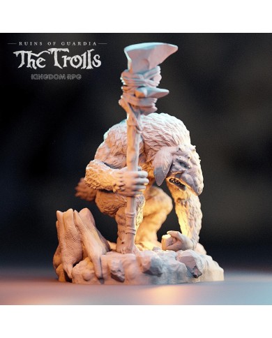 Troll - Zulgebo, el Chamán